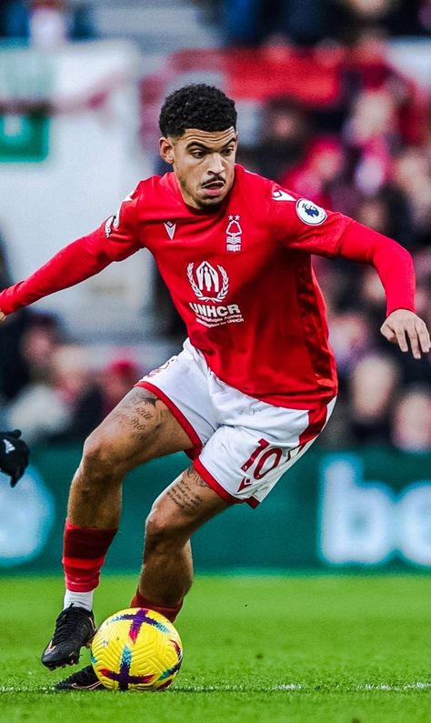 wallpaper morgan gibbs-white