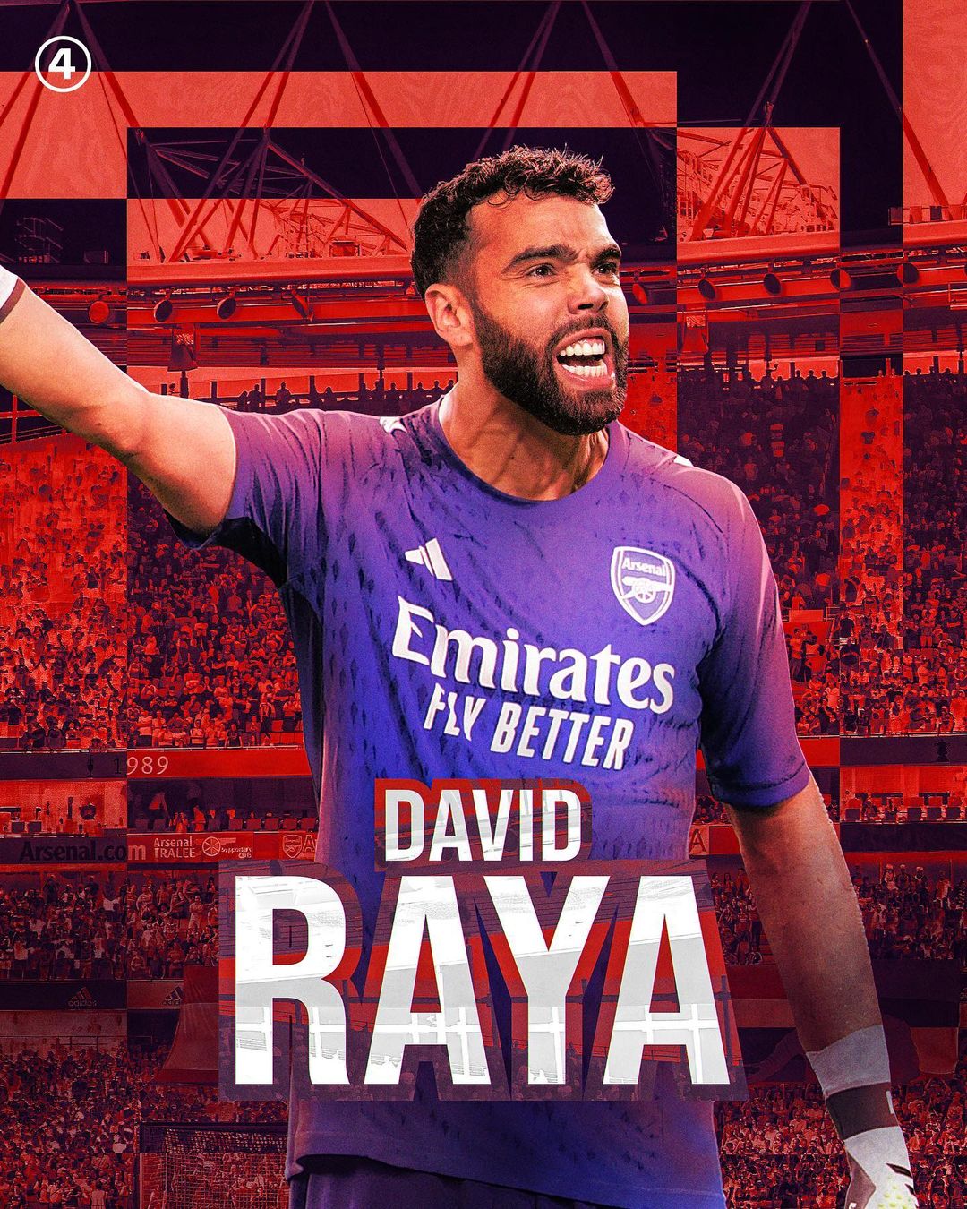 David Raya wallpaper for phone