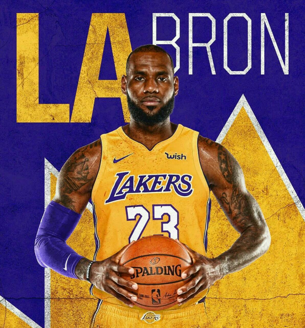 عکس پروفایل LeBron James