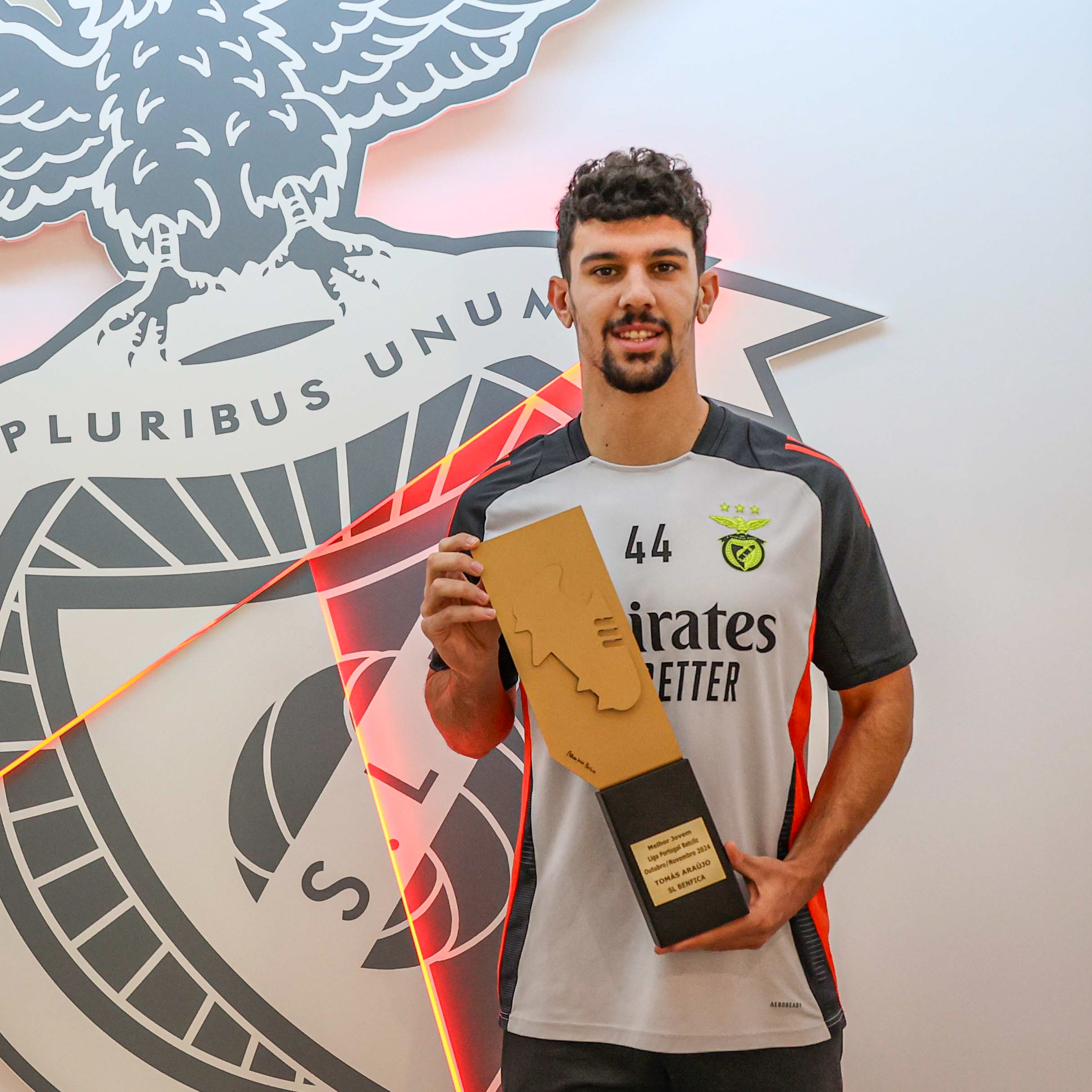 wallpaper Tomas Araujo