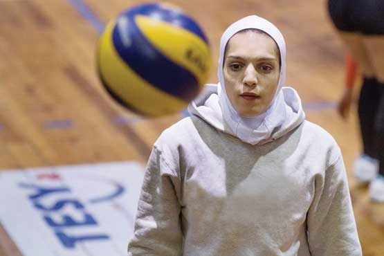 والپیپر مائده برهانی