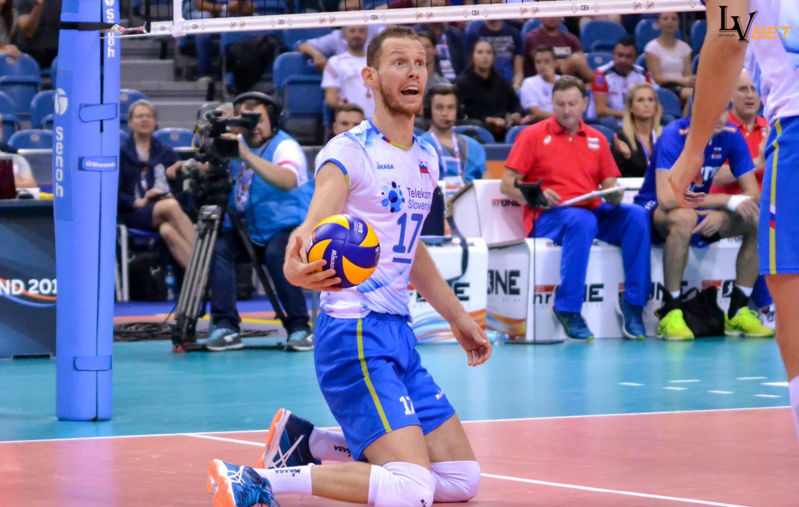 wallpaper Tine Urnaut 