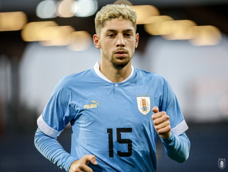 فدریکو والورده